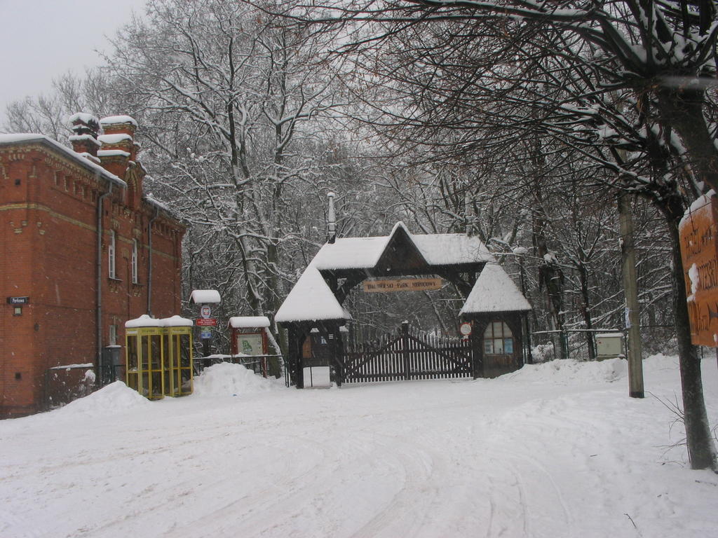 Homestay Goscinne Szpak Bialowieza